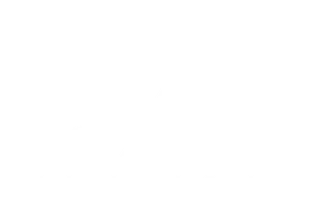 sfpe